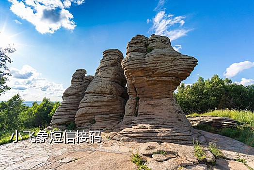 接短信码验证平台