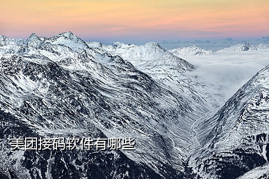 极速接码短信平台官网查询