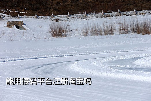 基站模拟手机接码