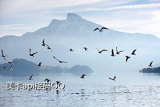 手机语音接码平台