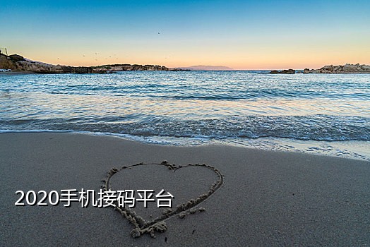 多米接码手机版