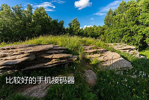 短信云接码平台官网