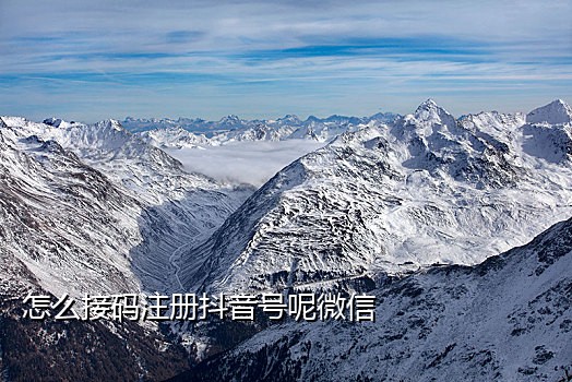 手机无信号能用网络接码