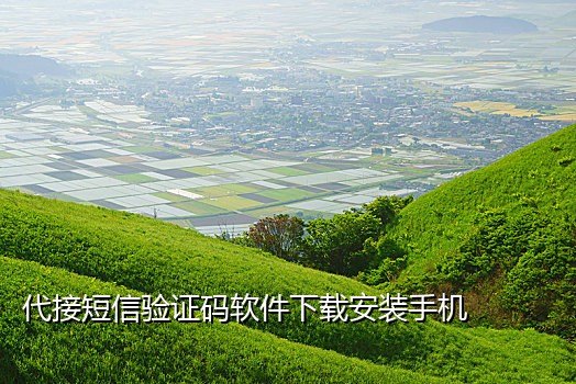 短信接验证码平台有哪些