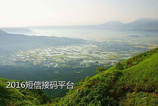 短信接码的