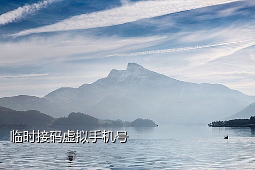 短信接码app大全