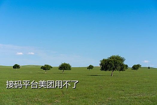 抖音号二次接码