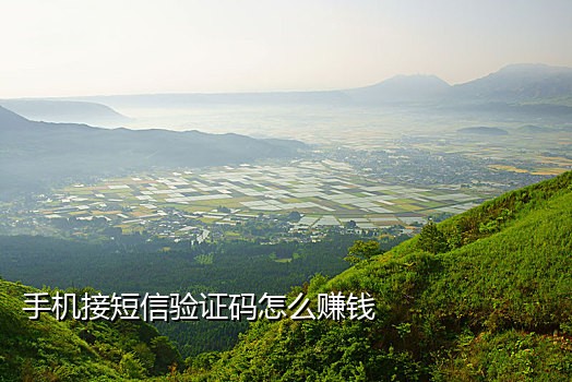 抖音二次接码号