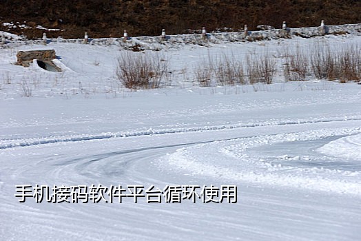 代接短信验证码软件破解方法
