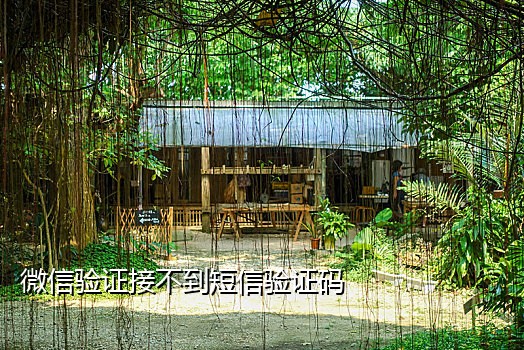 出租手机号码接验证码