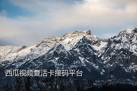 查询手机号的接码平台