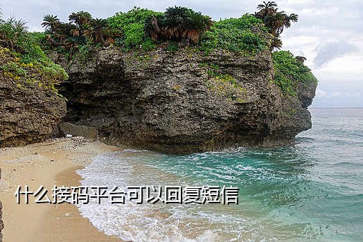 伴热带末端线头用接码