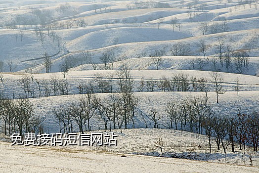 爱奇艺接验证码