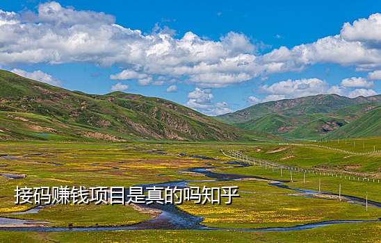 手机卡接码项目