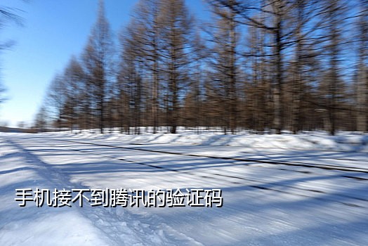tiktok注册接码