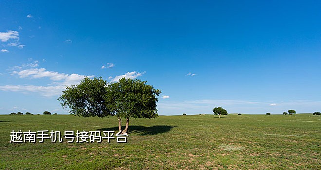 steam接不到手机验证码
