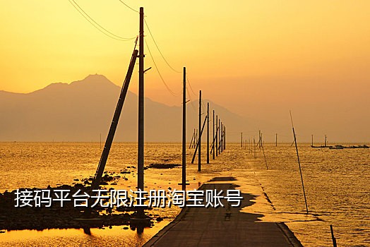 手机接验证码在线