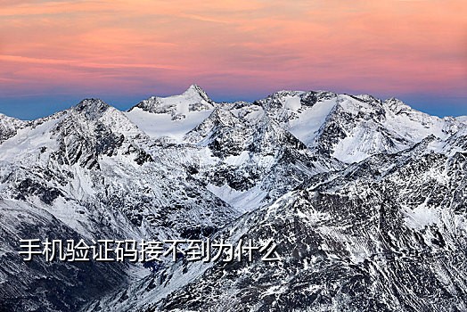 2021短信接验证码平台