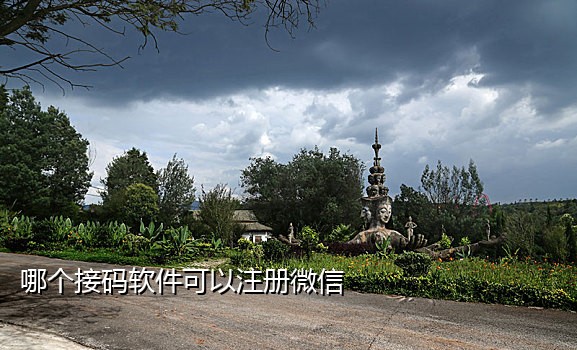 2018手机接码平台