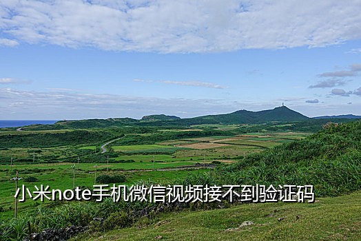 13开头手机号接码