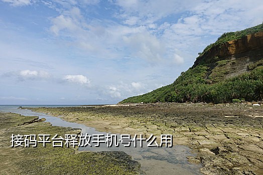 注册闲鱼接码平台