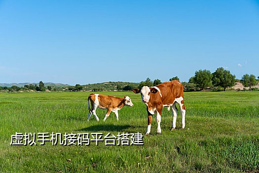 注册百度账号语音验证码接不到