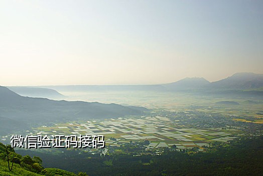 中国手机号码在线接码