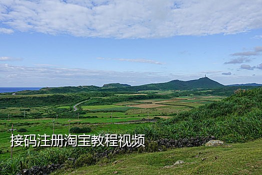 怎么可以接短信验证码