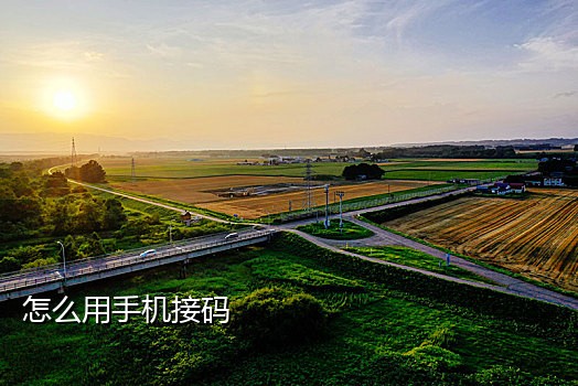 手机接码有什么平台吗
