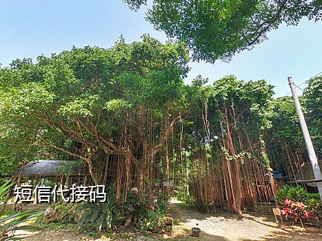 怎么接码注册抖音号呢安卓