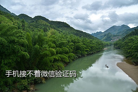 在线短信接验证码