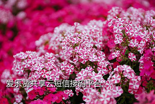在线短信接收接码号