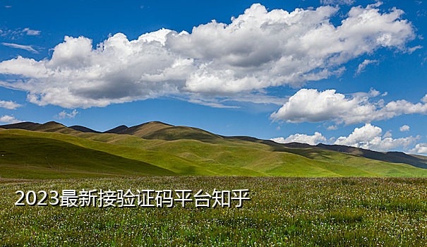 在美国接中国手机号验证码