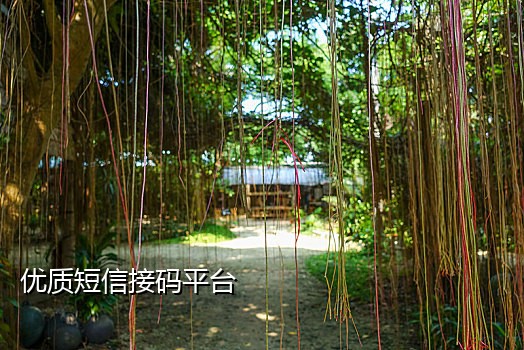 语音转短信接码平台