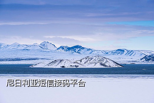 手机接码验证码平台
