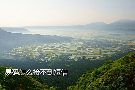 易语言手机接码