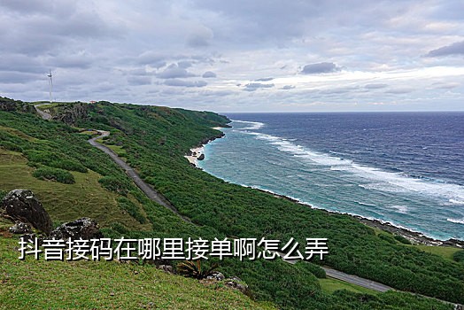 移动手机接码平台