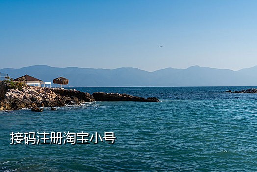 手机接码是做什么的
