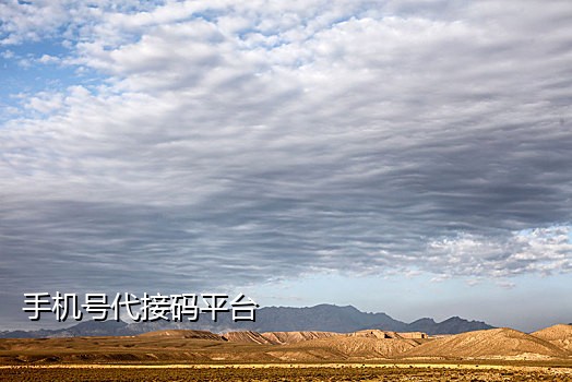 验证码接码短信平台中国