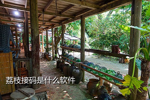 亚马逊注册买家号接码