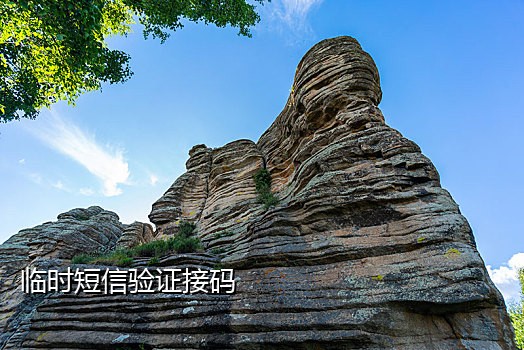 需要接短信验证码