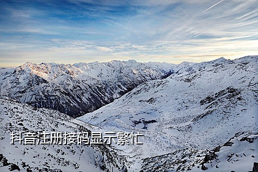 新蓝鸟接码手机客户端打不开