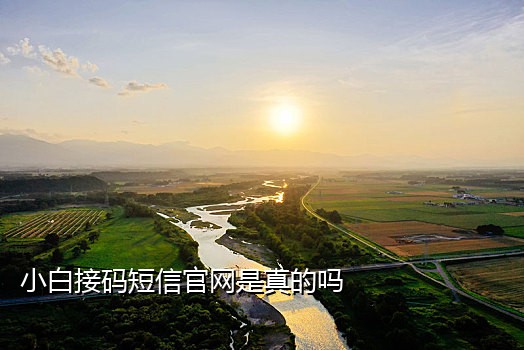 小红书白号接码