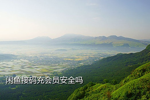 小飞接码短信验证码
