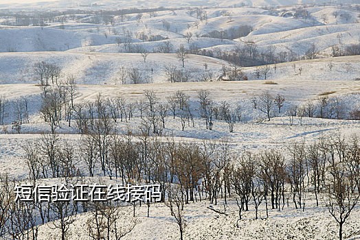 微信验证码接不到怎么回事