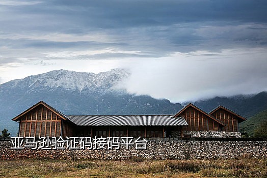 手机接码平台合集