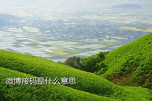 停机手机接码