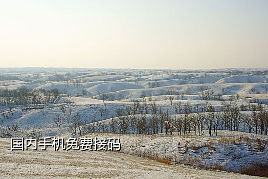 淘宝账号注册接码平台吗