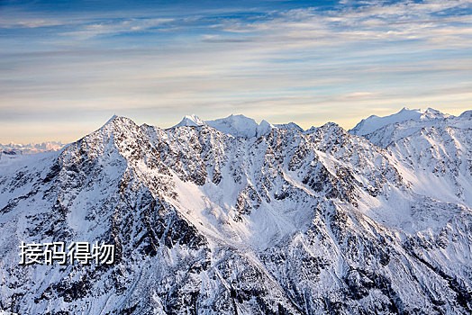 手机接码免费平台