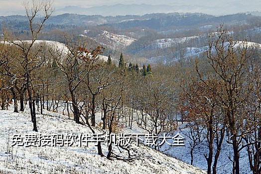 淘宝粮票接码1.2